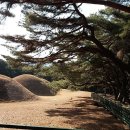 용장1리 이미지