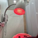 수복상회 | 오 마이 갓 큰일났다 2024년 7.8월 일기