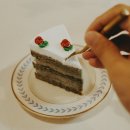 세탁쏘 이미지