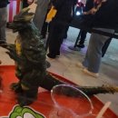 용가리노래연습장 이미지