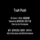 올댓라인댄스 동영상 - Tush Push 이미지