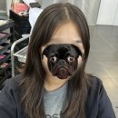 하성미용실 | 순천 호수공원 미용실 [란샵M] (대만족)하성 팀장님 / 여성 슬릭펌 후기