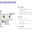 부르힐 에스테틱 이미지