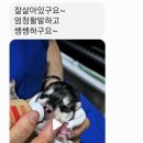 박효리군동물병원 이미지