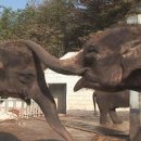 우치농장 이미지