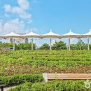 금빛휘트니스센터(시흥1동) | 금빛공원에서 만난 나만의 힐링 비밀 공간