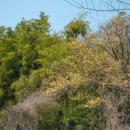 화천3리 이미지