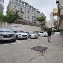 젊은열대어 이미지