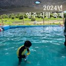 [2024 영주 물놀이 축제]시원축제 아기랑 다녀온 후기 운영시간 주차 먹거리부스