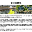 블루웨일 이미지