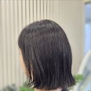 힐조 | 가산동미용실 가디역미용실 태슬컷 + 볼륨매직 후기 가온힐조헤어 가산역점