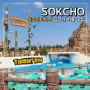 블루씨 | 속초 설악워터피아 입장권 할인 강원도 워터파크 추천