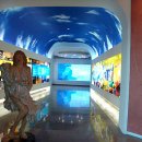 건강과 성 박물관 이미지