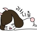 닥터호오 동물병원 이미지