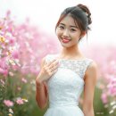 가을 우체국 / 문정희 이미지