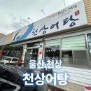 천상어탕 티스토리