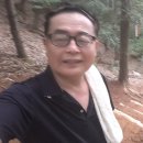 드로아 티스토리