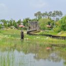 (사)향기 이미지