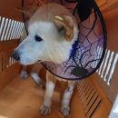 김주희농장 이미지