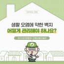 자연지업사 이미지