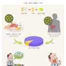천보당 이미지