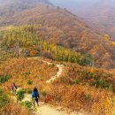 DMZ펀치볼둘레길 가을 트레킹 이미지