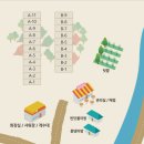 서후리 캠핑장 | 서울근교 양평 계곡 서후리캠핑장 추천