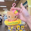 허니문 | 여행사 추천 여행산책 하와이 신혼여행 허니문 다녀온 솔직후기