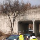 주정차-9 이미지