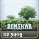 파리바케트신당점 | 제주 송당 동화마을 6월 풍경 수련 & 수국 축제/스타벅스/투어기차