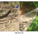 강서 이미지