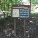 꿈꾸는새재 이미지