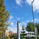 작동오리불고기 이미지