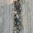 산꾼의집 이미지