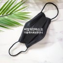 태양을향하여 | KF-AD마스크 / 더블캐치 세심한언니 비말차단마스크 실사용후기 ~!:)_