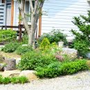 개나리민박 이미지