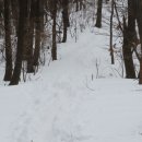 석성산 등산로 이미지