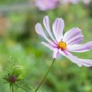 고현치과의원 이미지