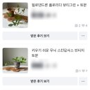 당근마켓에서 식테크 식물 잘 파는 방법