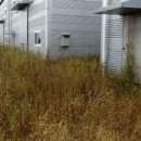 청북중앙로 이미지