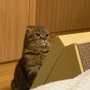 권오성동물병원 이미지