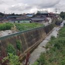 창녕공설운동장 이미지