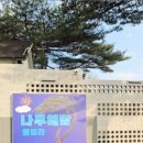 나무해담 이미지