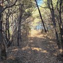 호미식당 이미지