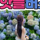 제주스타일투어