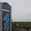 올레에반하다 이미지