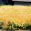 현대자동차 청도서비스 이미지