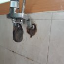 대성주택 이미지