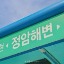 정암해변 버스정류장 이미지