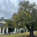 명지새마을회관 이미지